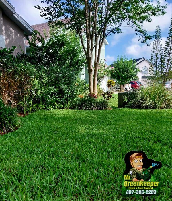 Sustainable Pest Control for Lush Green Lawns